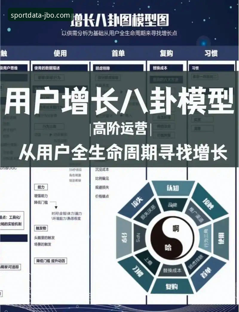 揭秘JBO体育数据支持背后的精准逻辑：一个老用户如何用它提升决策效率